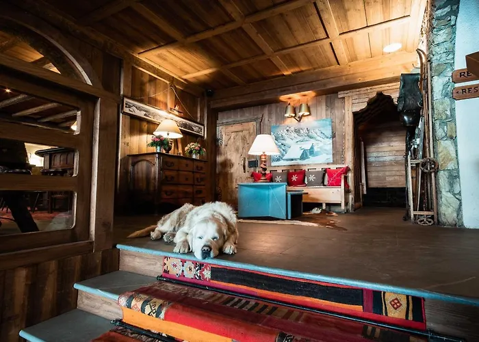 Hôtel LE BLIZZARD